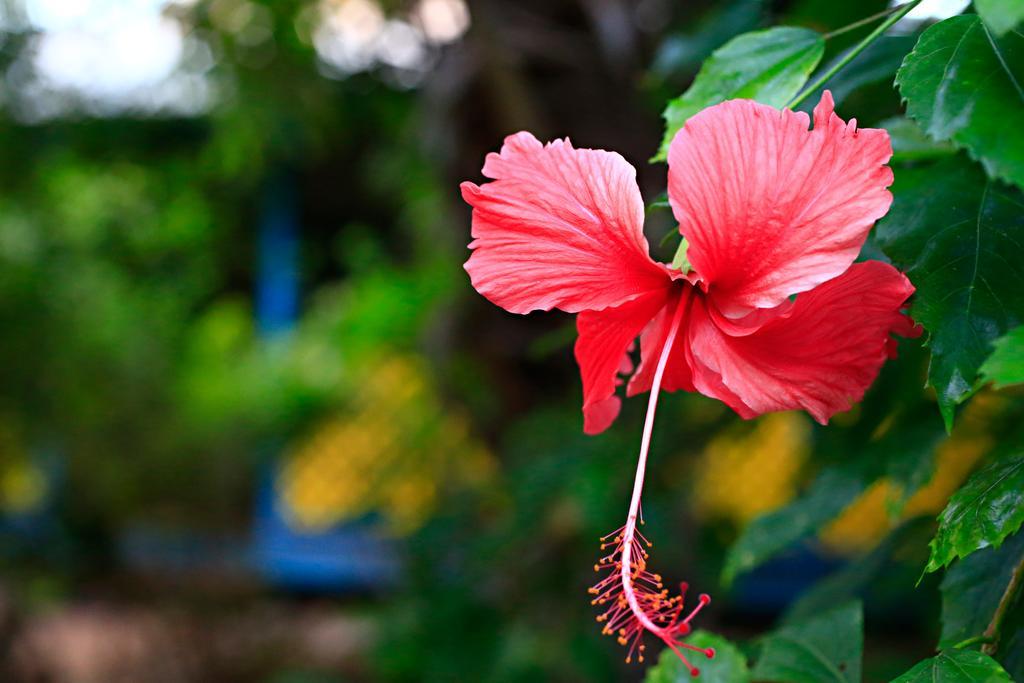 Habitat Resort Broome Dış mekan fotoğraf